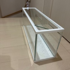 60cm水槽の画像