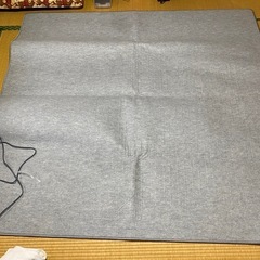 NEC 電気カーペット　DK-P20C-H 