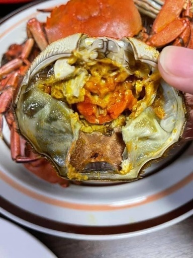 活モクズガニ メスのみ　ちょっと多めで食べ応えの3.0kg ガン汁、カニマキ汁、ズガニ汁　モクズ蟹 ツガニ　山太郎ガニ 活モクズガニ オスメス混合、3.0kg 大.中.小サイズガン汁、カニマキ汁