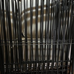 ドッグサークル　ブラック　中型犬の画像