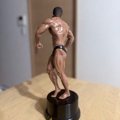 なかやまきんに君　フィギュア　トロフィーの画像