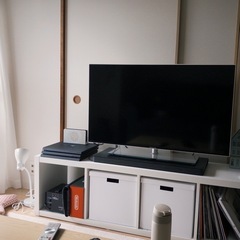 【0円】ハイセンス43型テレビ／LGスピーカー(EU製)