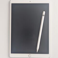 iPad Air 3 64GB（シルバー） + Apple Pe...