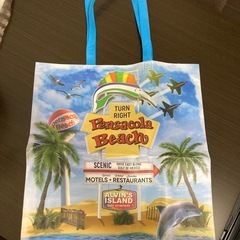 アメリカ フロリダ トートバッグ