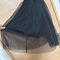 シースルースカートの画像