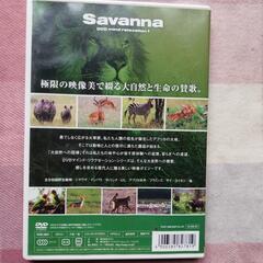 サバンナ  美しき命  マインドリラクゼーションDVDの画像