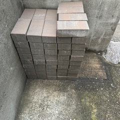 インターロッキング　ピンコロ