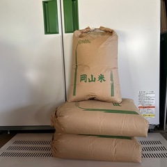 令和5年産米　きぬむすめ