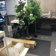 【11月5日に引渡必須】画像に写ってる物全てお譲りしますの画像