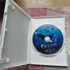 OCEANS オーシャンズDVDの画像