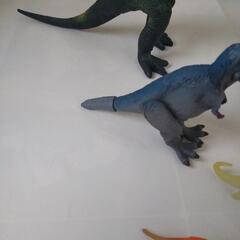 【決まりました】恐竜🦕🦖たちの画像