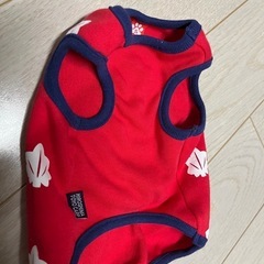 広島東洋カープ　ペットウェア　もみじの画像