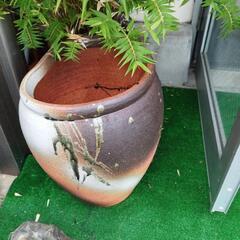大きな壺、花瓶の画像