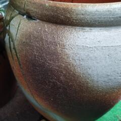 大きな壺、花瓶の画像