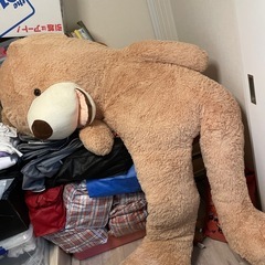 くま　特大ぬいぐるみの画像