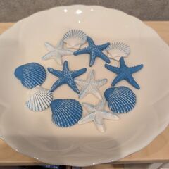 【１回のみ使用】貝とヒトデ型のオブジェ2色セット　置物　飾り　海の画像