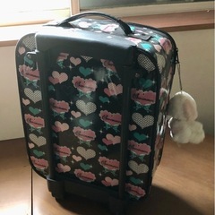 子ども用トランク①
の画像