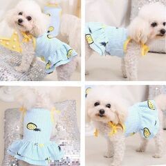 ワンちゃんワンピース/Lサイズ（新品）ブルー/半額以下の画像