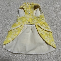 ペット服　黄色　Ⓜ️ 難あり　ワンピースの画像