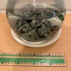 ベタやメダカの飼育に、円形の小型水槽　麦飯石、エアーポンプおまけの画像