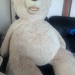 クマのぬいぐるみ🧸