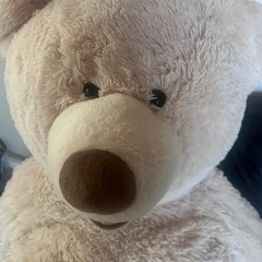 クマのぬいぐるみ🧸の画像