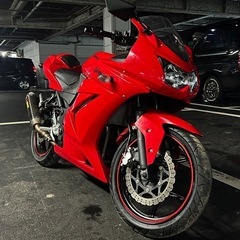 Kawasaki Ninja250 低走行車　カスタムマフラー　アクラポビッチの画像