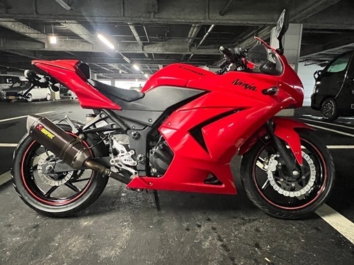 Kawasaki Ninja250 低走行車　カスタムマフラー　アクラポビッチ