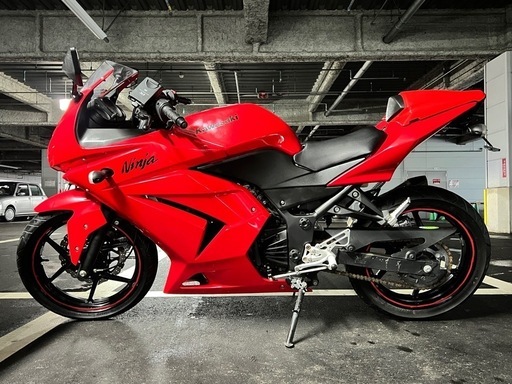 Kawasaki Ninja250 低走行車　カスタムマフラー　アクラポビッチ