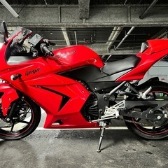 Kawasaki Ninja250 低走行車　カスタムマフラー　アクラポビッチの画像