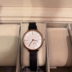 SKAGENレディース腕時計の画像