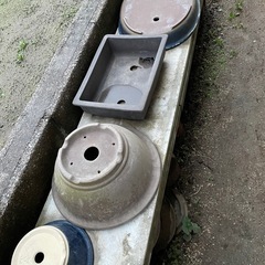 鉢の画像