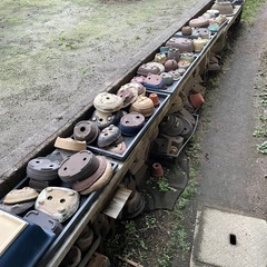 鉢