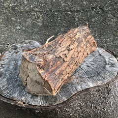 薪の画像
