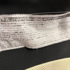 リッチェル　バウンサーの画像