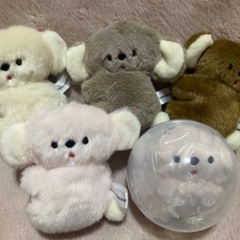 【ガチャガチャ】にこやまポッケ おすわりコアラのぬいぐるみの画像