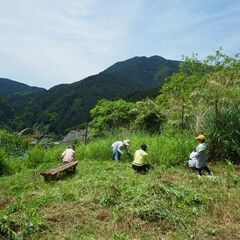 草刈りの手元作業員の方募集中！初心者大歓迎！の画像