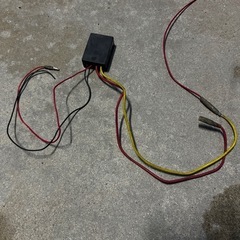 キッシューンバルブ