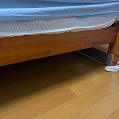 【5日間限定！】シングルベッドの画像