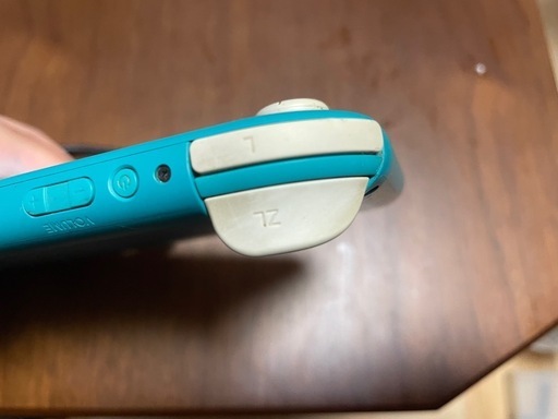 Switch Lite  スイッチ　ライト