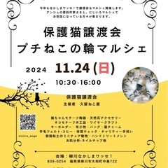 11月24日（日）譲渡会＆プチねこの輪マルシェ