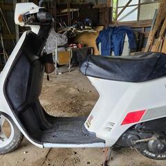 ホンダ タクト    ✨️AF09 ✨️