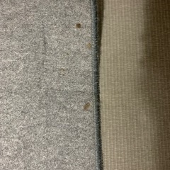 ホットカーペットの画像