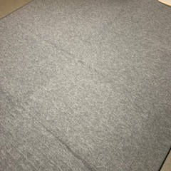 ホットカーペットの画像