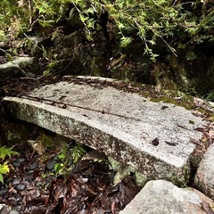 石橋　反橋の画像