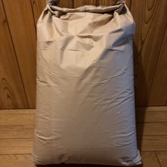 ハツシモの中古が安い！激安で譲ります・無料であげます｜ジモティー