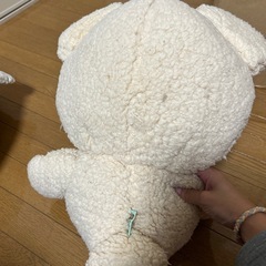 クマのぬいぐるみの画像