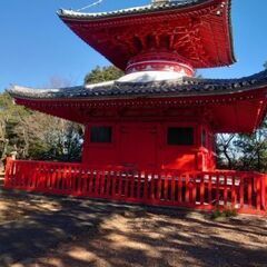 11/16  尾張本宮山〜信貴山ハイキングお茶会 − 愛知県