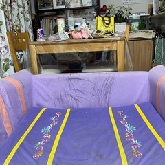 ラプンツェル　ソファーベッドの画像