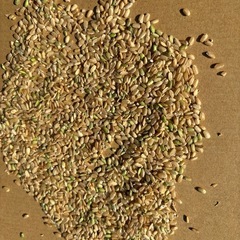 小米（クズ米・玄米）2,000円/30kg